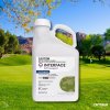Envu Interface Stressgard Turf (Fungicide)
